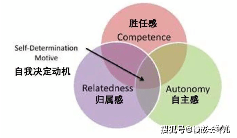 本文目录导读,